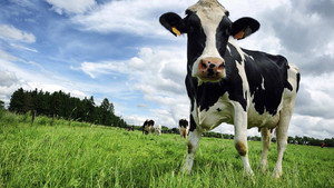 Robo-farm, Log Stacker, Piano Moving