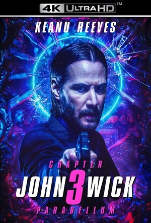 poster John Wick: Chapter 3 - Parabellum