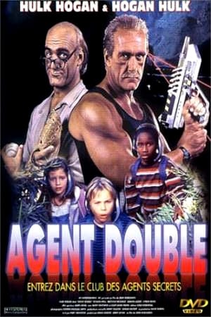 Poster Agent double 1996