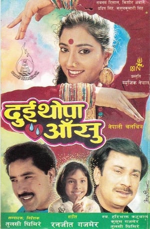 Poster Dui Thopa Aansu 1993