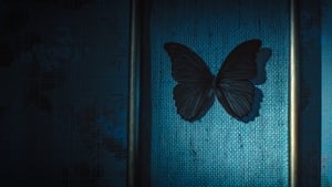 Black Butterflies : ผีเสื้อดำ
