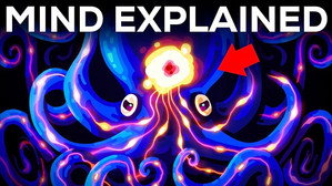 Kurzgesagt - In a Nutshell Let’s Dissect Your Brain