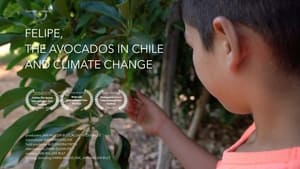 Felipe, de avocado's in Chili en klimaatverandering