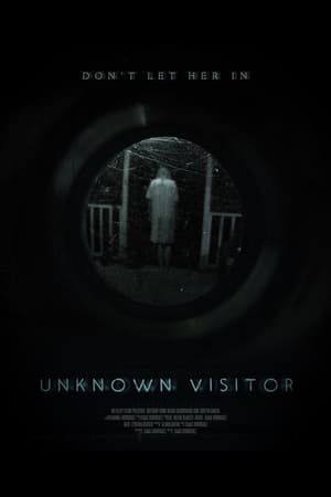 Poster Unknown Visitor 2019