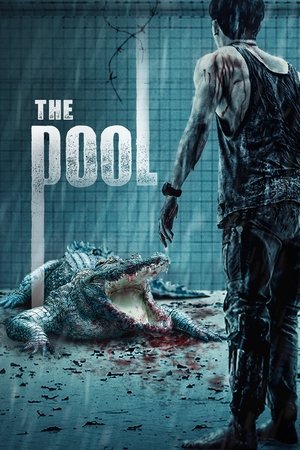 Poster The Pool (2018)