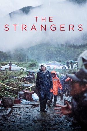 The Strangers (2016)