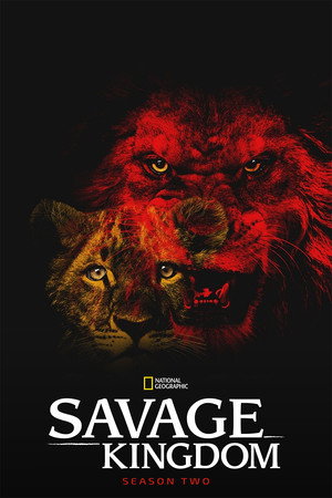 Staffel 2
