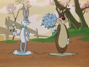 Épisode 24