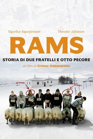 Rams - Storia di due fratelli e otto pecore 2015