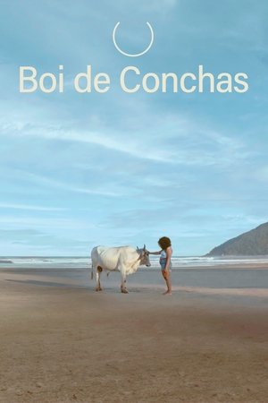 Boi de Conchas