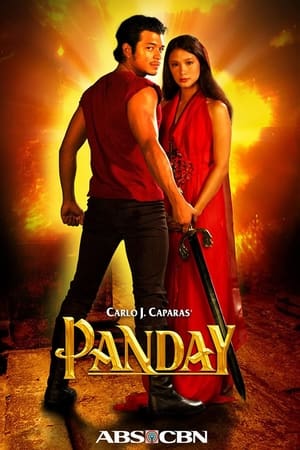 Poster Ang Panday 2005