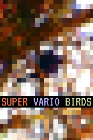 Poster Super Vario Birds (2019)