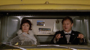 The House at Christianshavn: 8×3