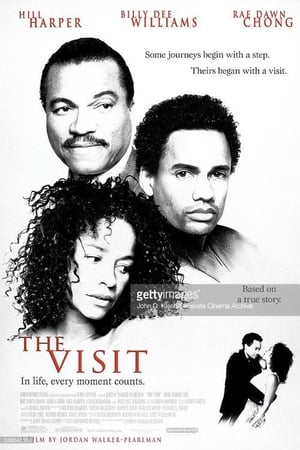 The Visit 2001