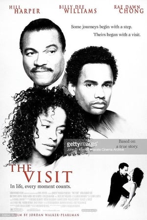 Poster The Visit 2001