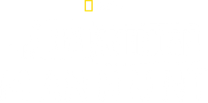 The Great American Manhunt