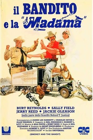 Poster di Il bandito e la madama