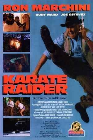 Poster Karate Raider (1995)