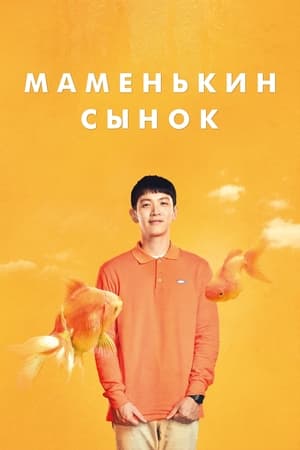 Image Маменькин сынок