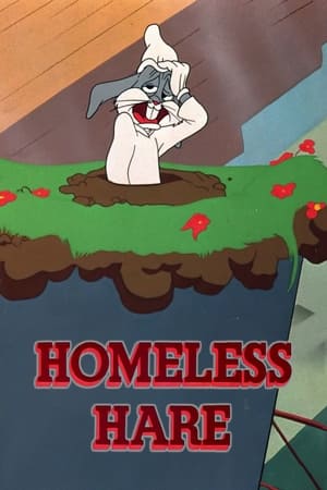 Homeless Hare poster