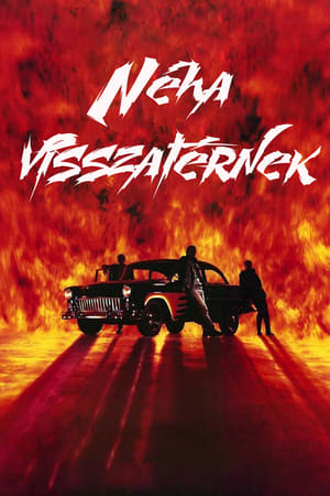 Néha visszatérnek (1991)