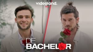 poster De Bachelor