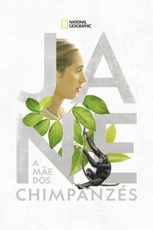 Poster Jane 2017