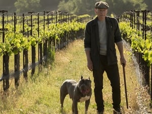 Star Trek: Picard: 1×1