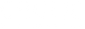 Crulic: The Path to Beyond