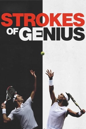 Poster di Strokes of Genius