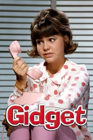 Poster Gidget Sæson 1 Afsnit 20 1966