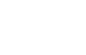 O Sucessor — Logos 9