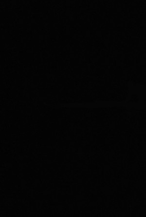 Night of Hunt