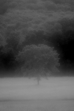 In the Fishtank (2023)