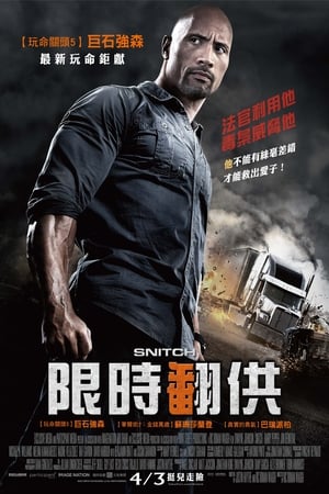 Poster 告密者 2013