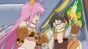 To Love-Ru – Episódio 22 – Plano de batalha! O festival cultural