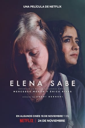 Poster Elena sabe 2023