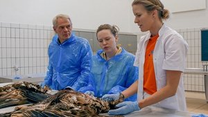 Der er noget, der ikke stemmer