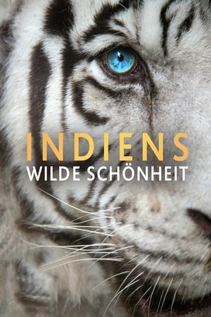 Image Indiens wilde Schönheit