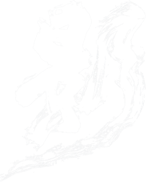 Shadow — Logos 6