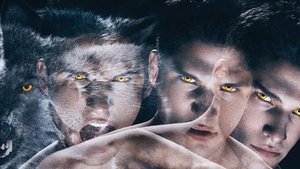 ดูซีรี่ส์ Teen Wolf – หนุ่มน้อยมนุษย์หมาป่า [พากย์ไทย]