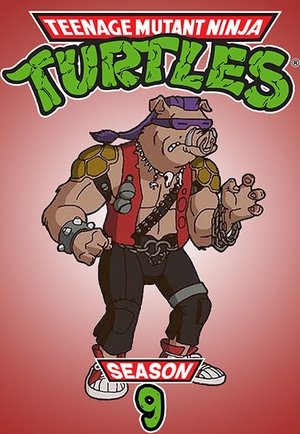 Saison 9