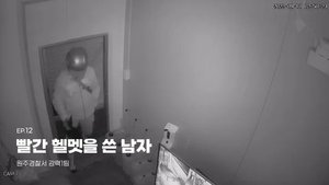 Episode 12