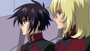 Mobile Suit Gundam SEED Destiny Season 1: Differing Views