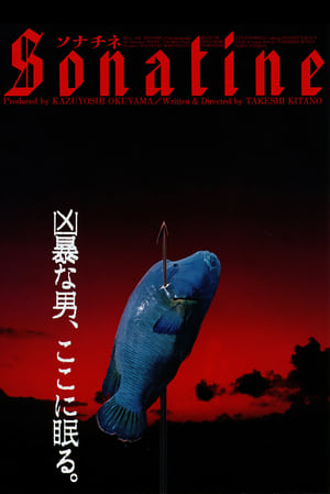 Poster 奏鸣曲 1993