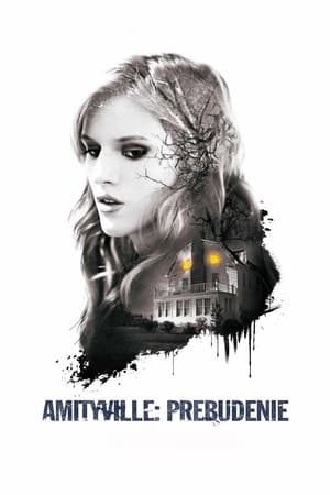 Poster Amityville: Prebudenie 2017