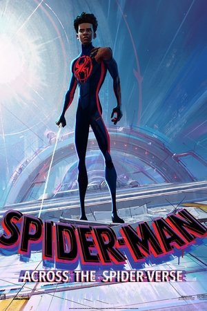 poster Spider-Man: Across the Spider-Verse