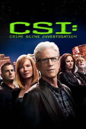poster CSI: Crime Scene Investigation