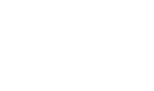 姊妹們，上！ — Logos 2