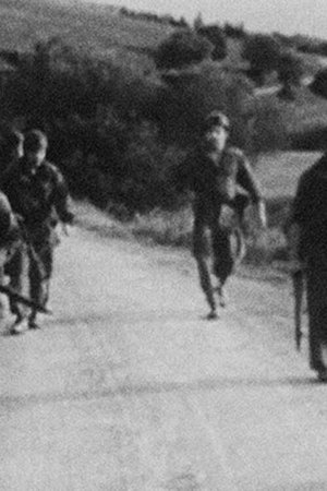 Image Algérie 1962: Chronique d'un conflit